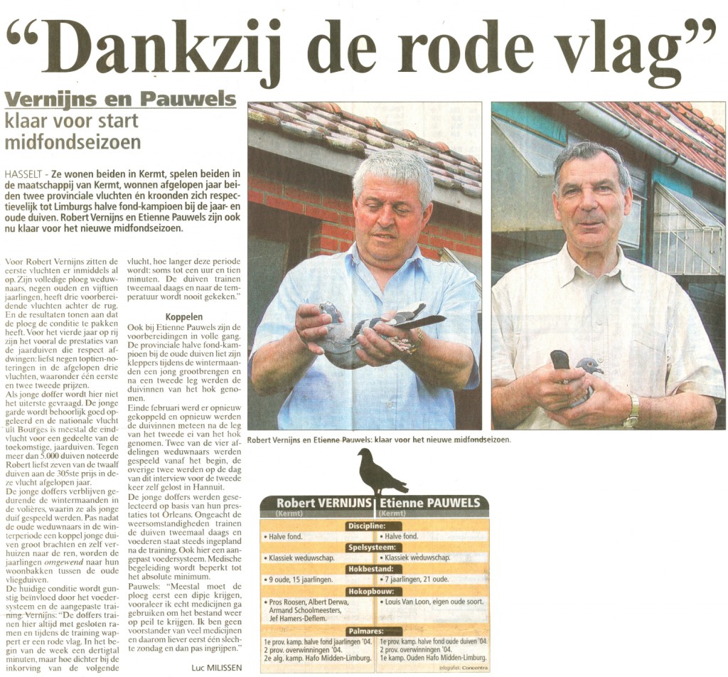 Etienne Pauwels Brieftauben markt Zuechter 9991