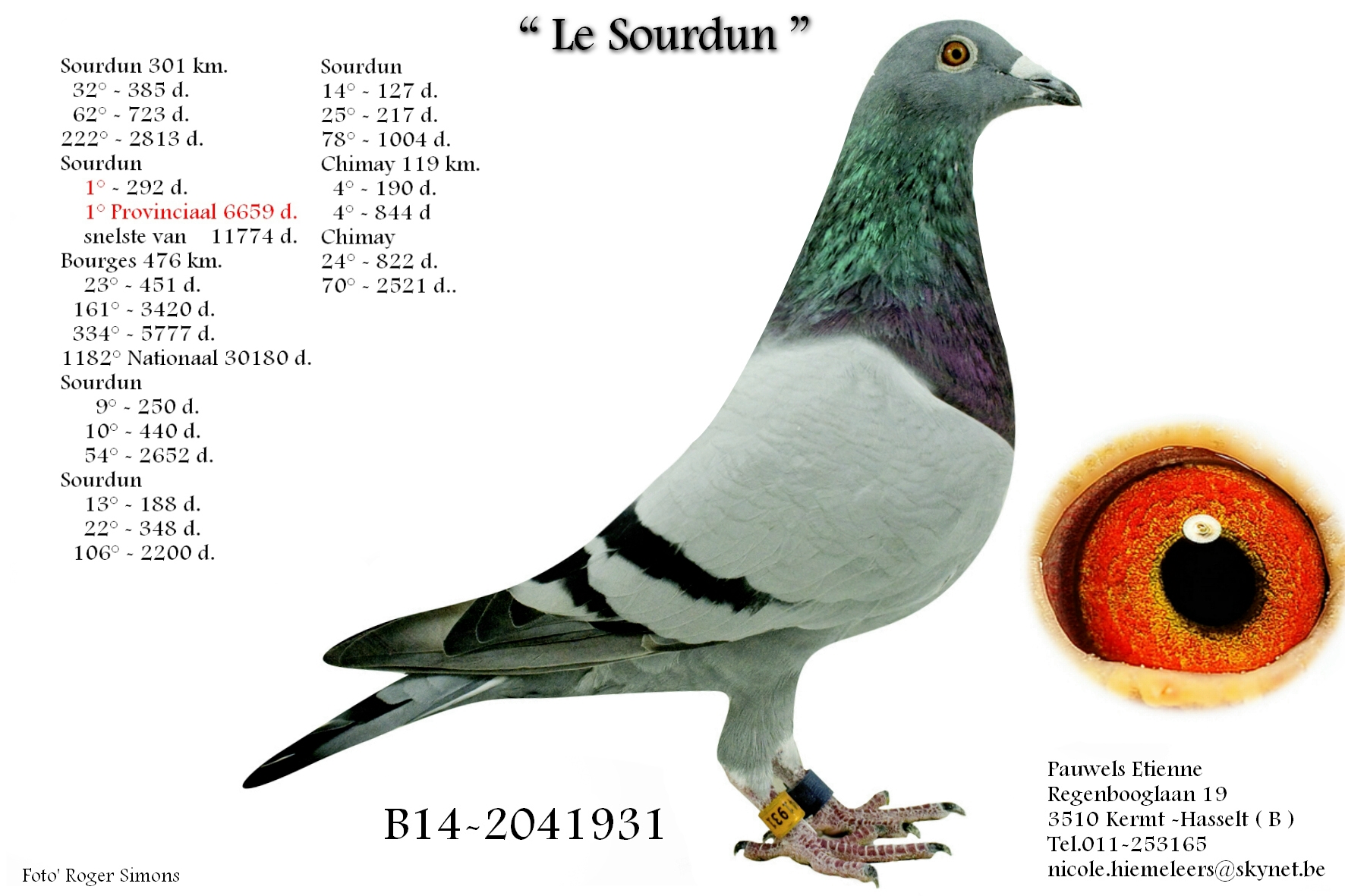 pauwels B14-2041931