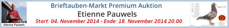 pauwels auktions banner 2014