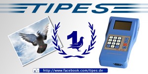 tipes Produkte Brieftauben Markt ONexpo 3
