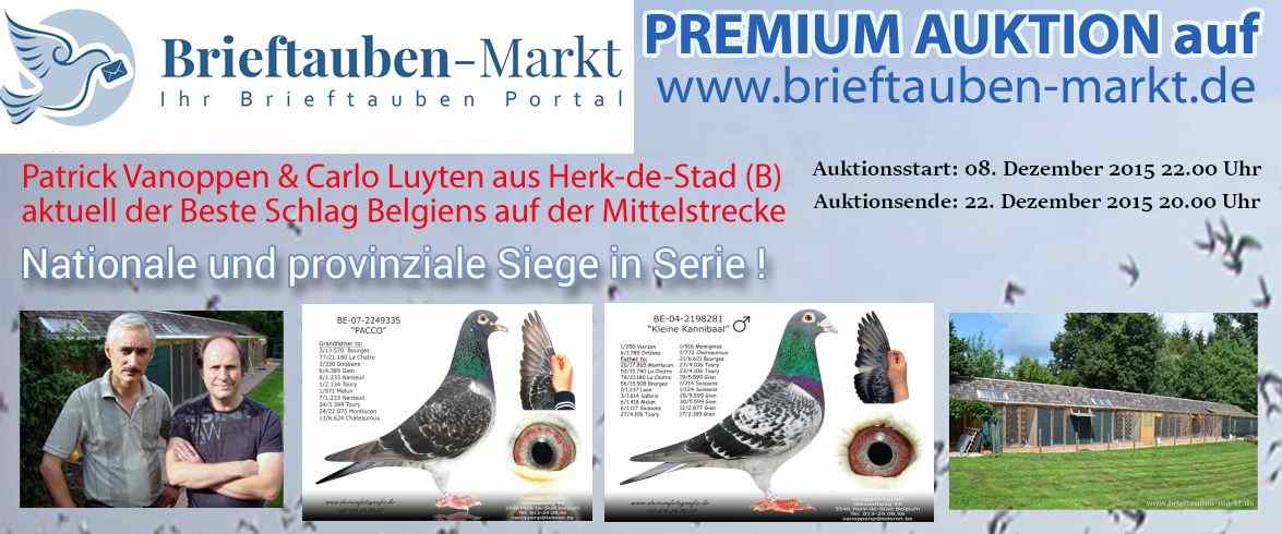 auktion 2015 vanoppen luyten mit text