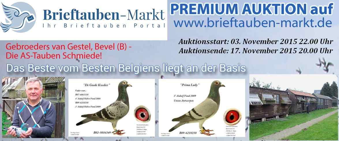auktion van gestel mit text