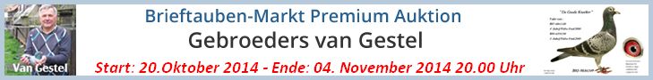 van gestel auktion logo