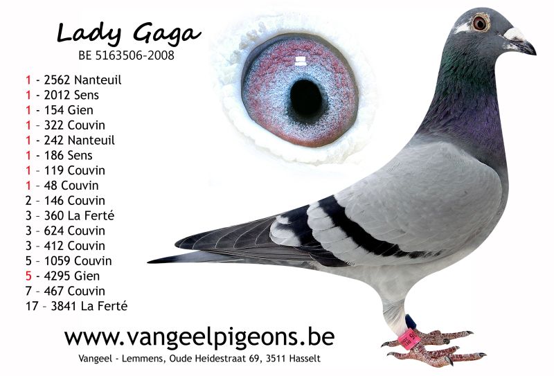 vangeel ladygagakopie