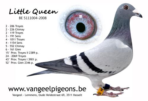 vangeel little queen