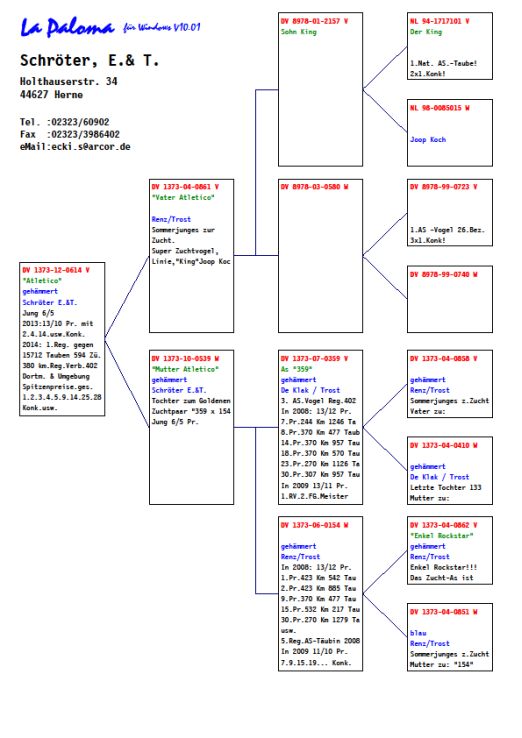 schoeter regional abst