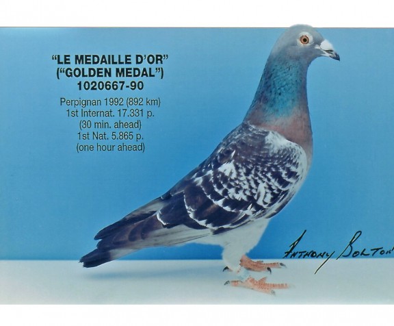MedailleDor