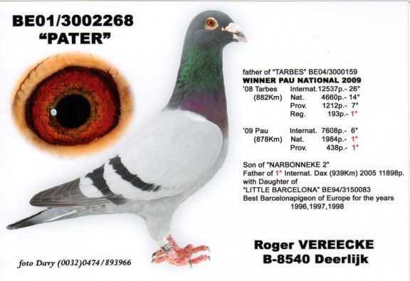 Pater