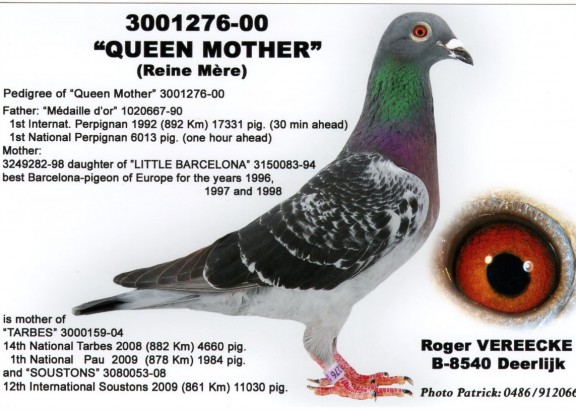QueenMutter