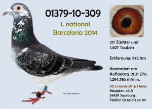 emmerich 01379-10-309