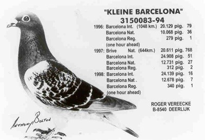 kleineBarcelona