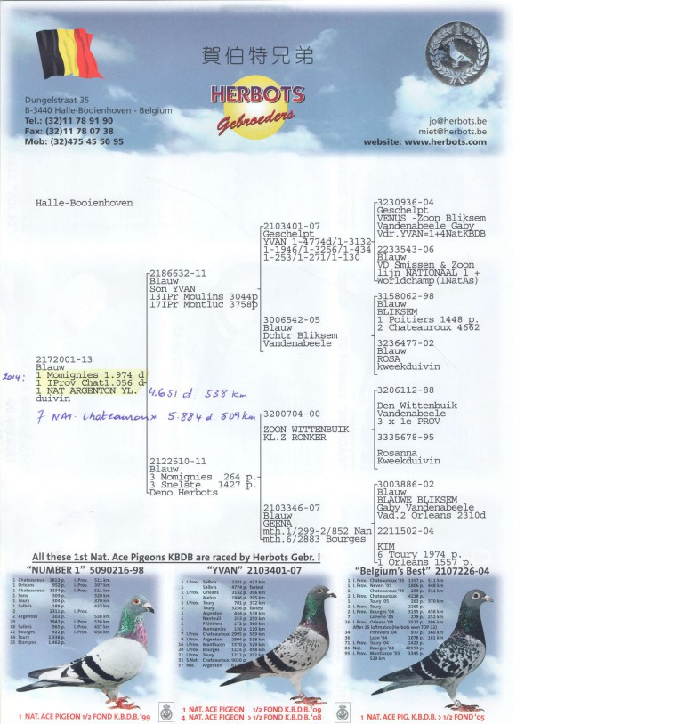 Herbots_taube_4