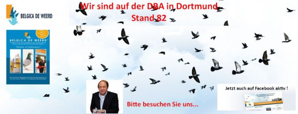 de weerd dortmund 2014