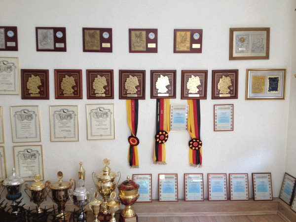 drapa_03