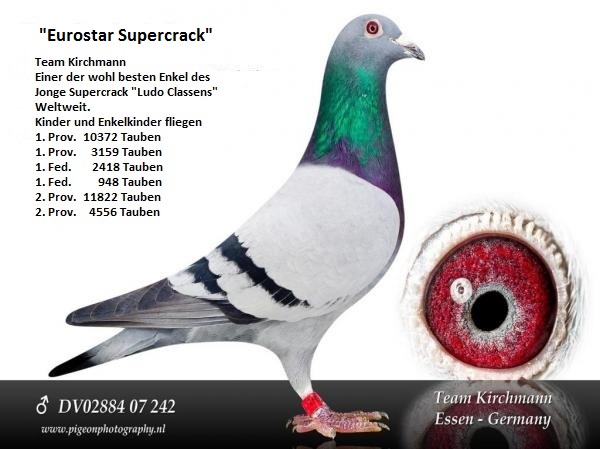 kirchmann eurostar supercrack