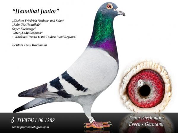 kirchmann hannibal