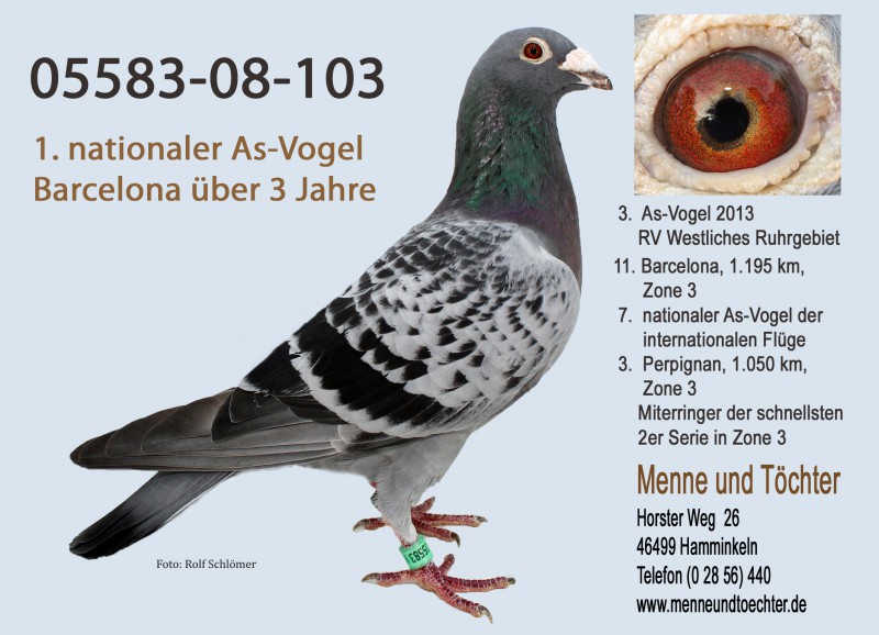 menne3