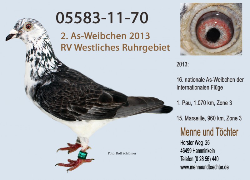 menne5