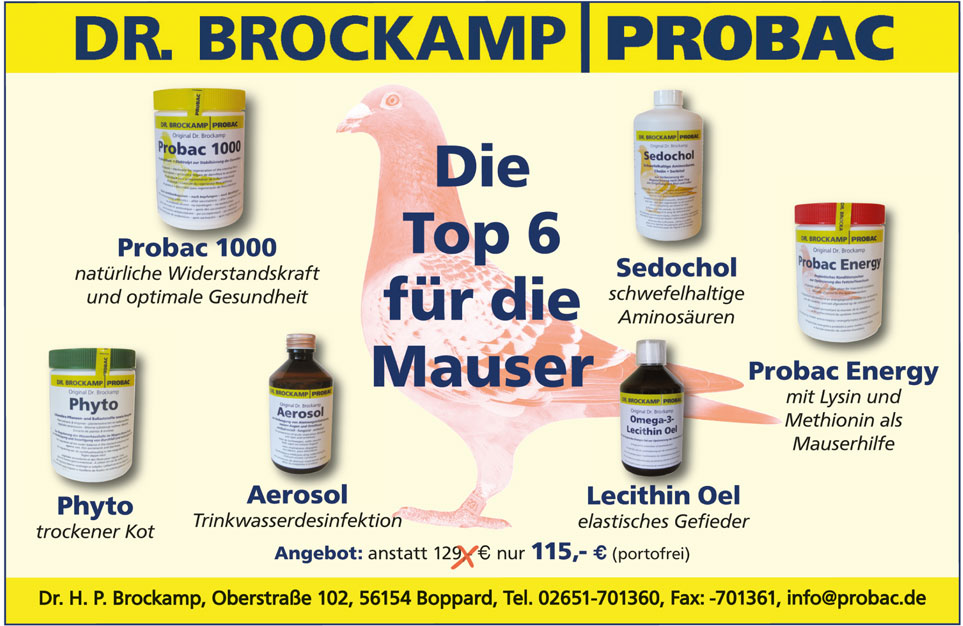 Brockamp sep 2014