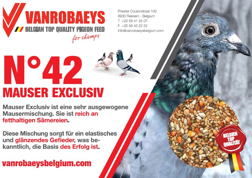 vanrobaeys mauser 42