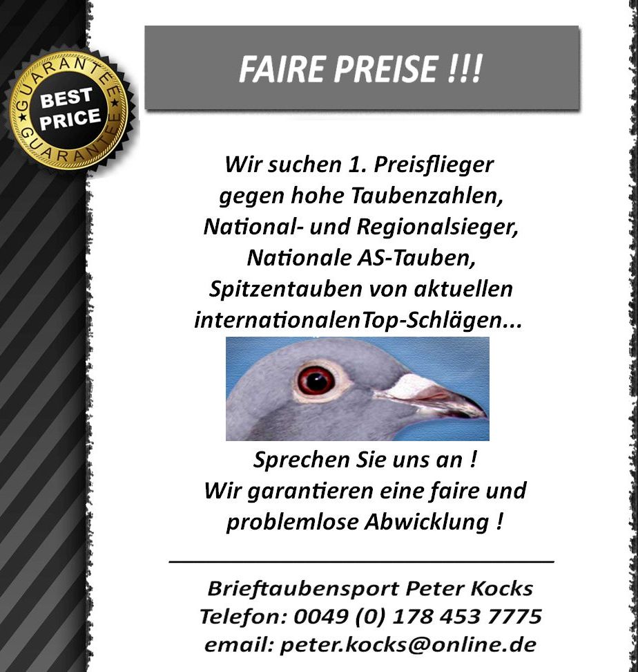 Anzeige TaubenMarkt Nov2014
