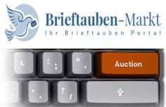 auktion banner neu