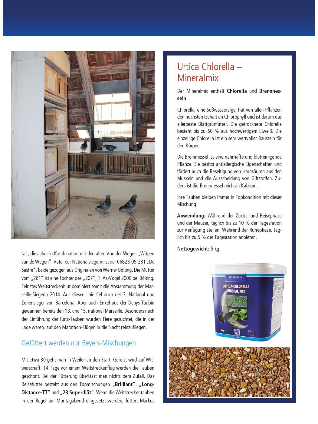 beyers newsletter okt 2014_4