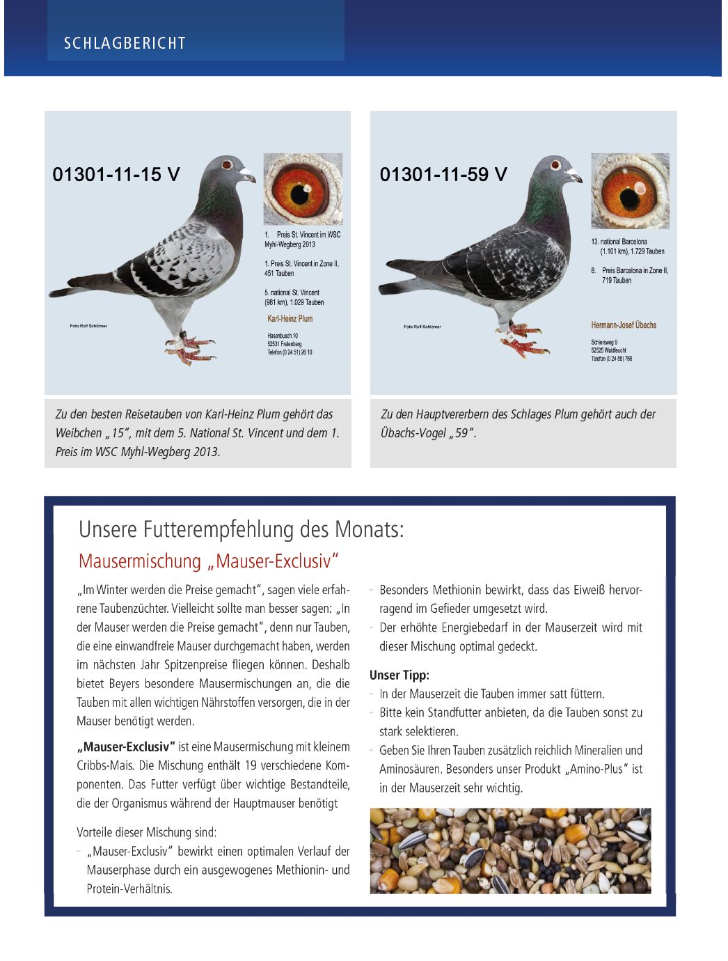 beyers newsletter okt 2014_6
