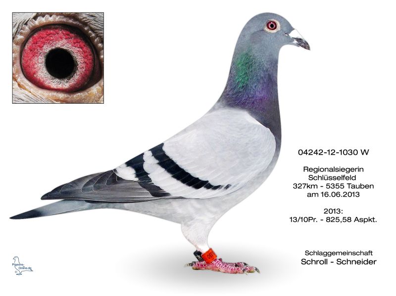 schroll 04242-12-1030
