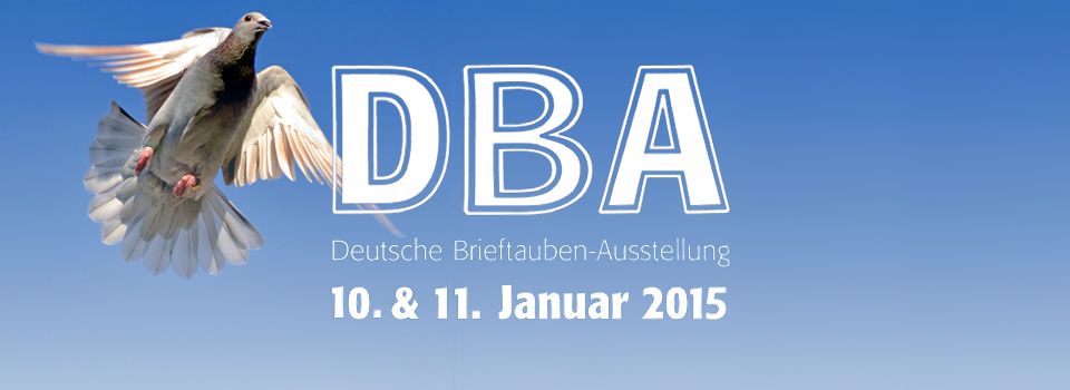 dba 2015