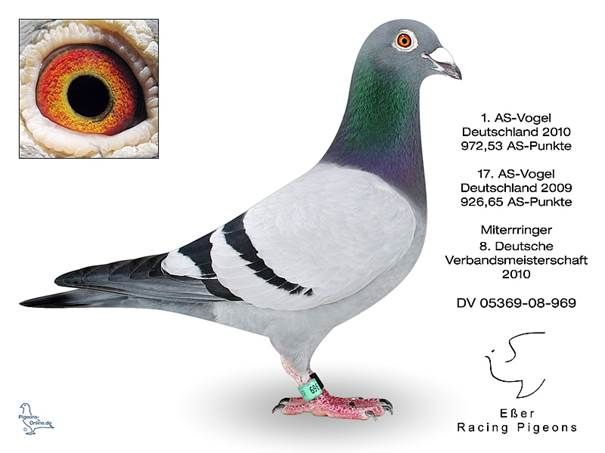 esser 969