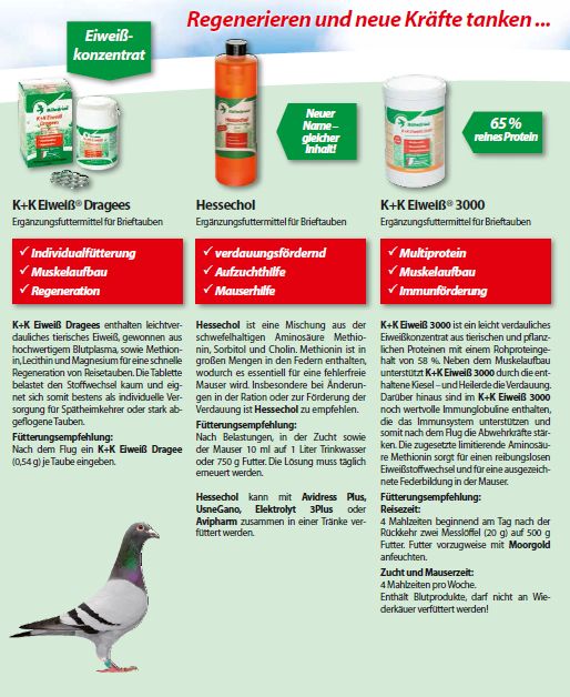roehnfried courier 2015 2