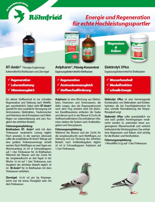 roehnfried courier 2015 3