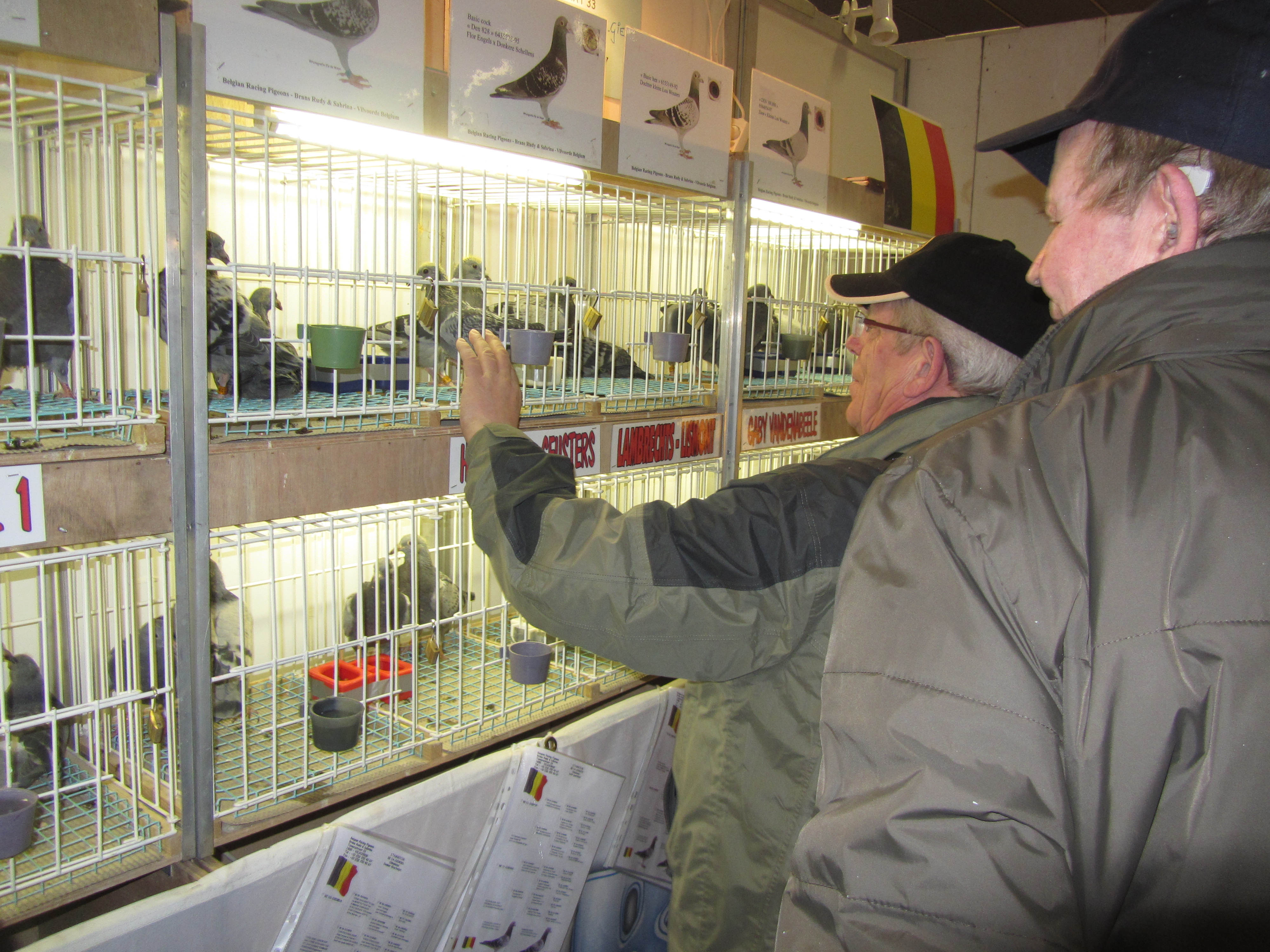 houten 2015_2