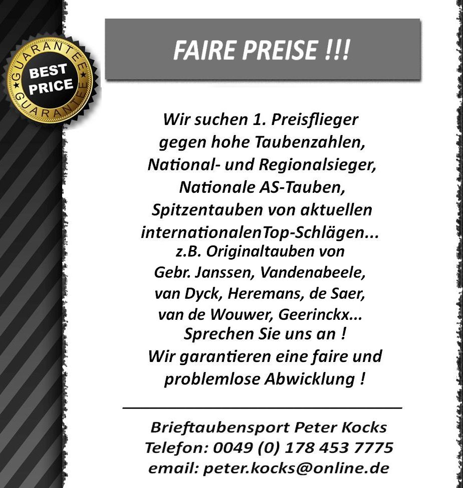 anzeige internet taubenschlag 2015