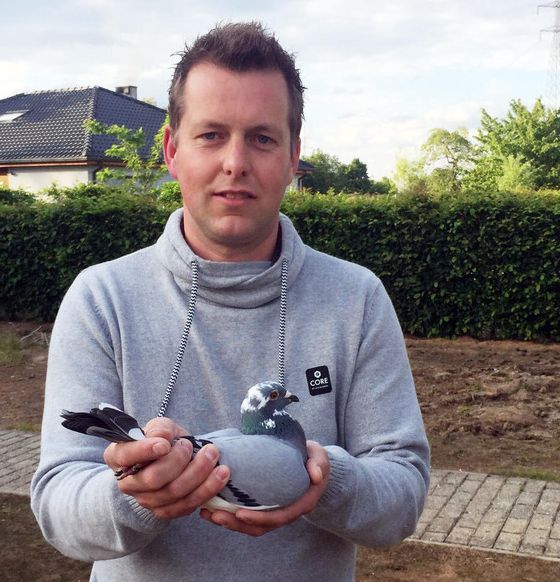 rompaey 2015