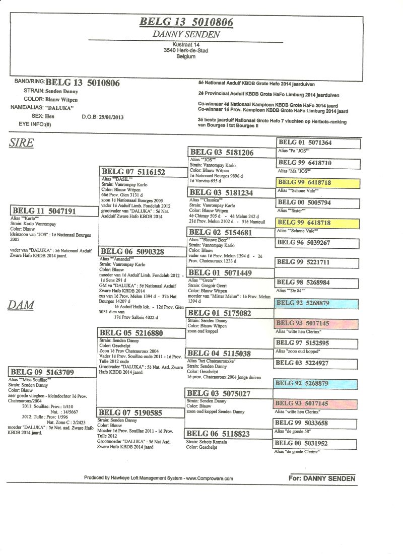 senden daluka pedigree