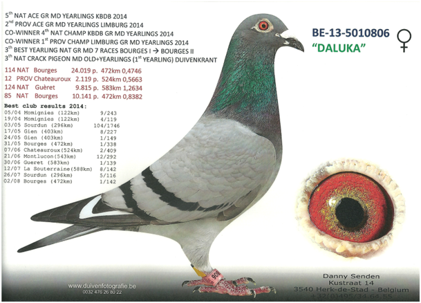 Senden_11