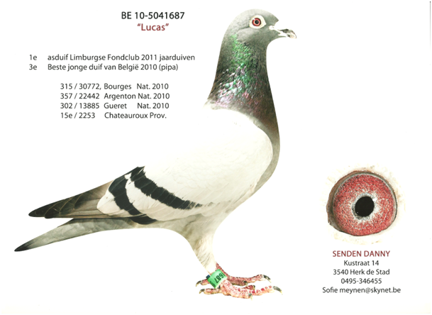Senden_5