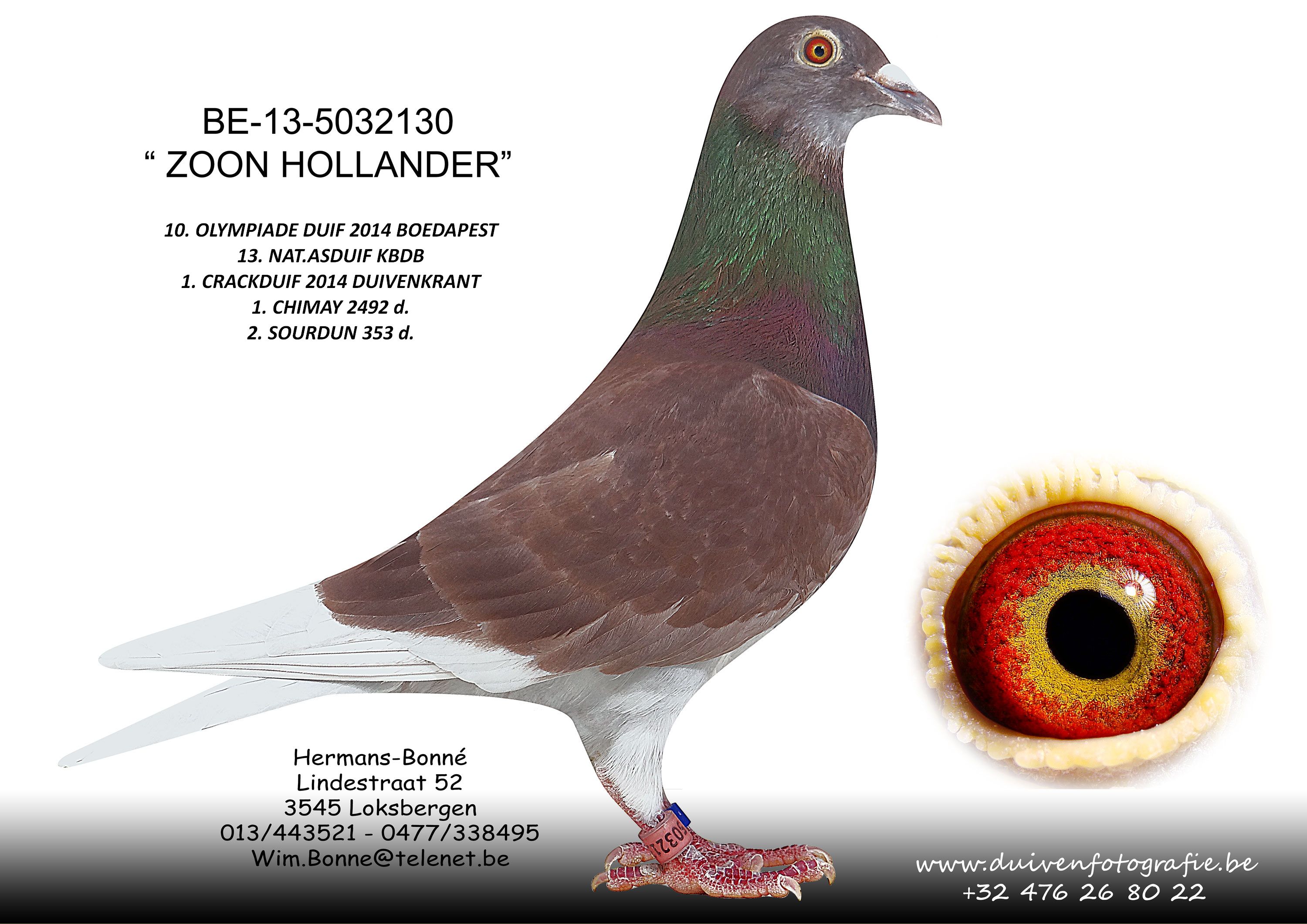hermans bone BE-13-5032130