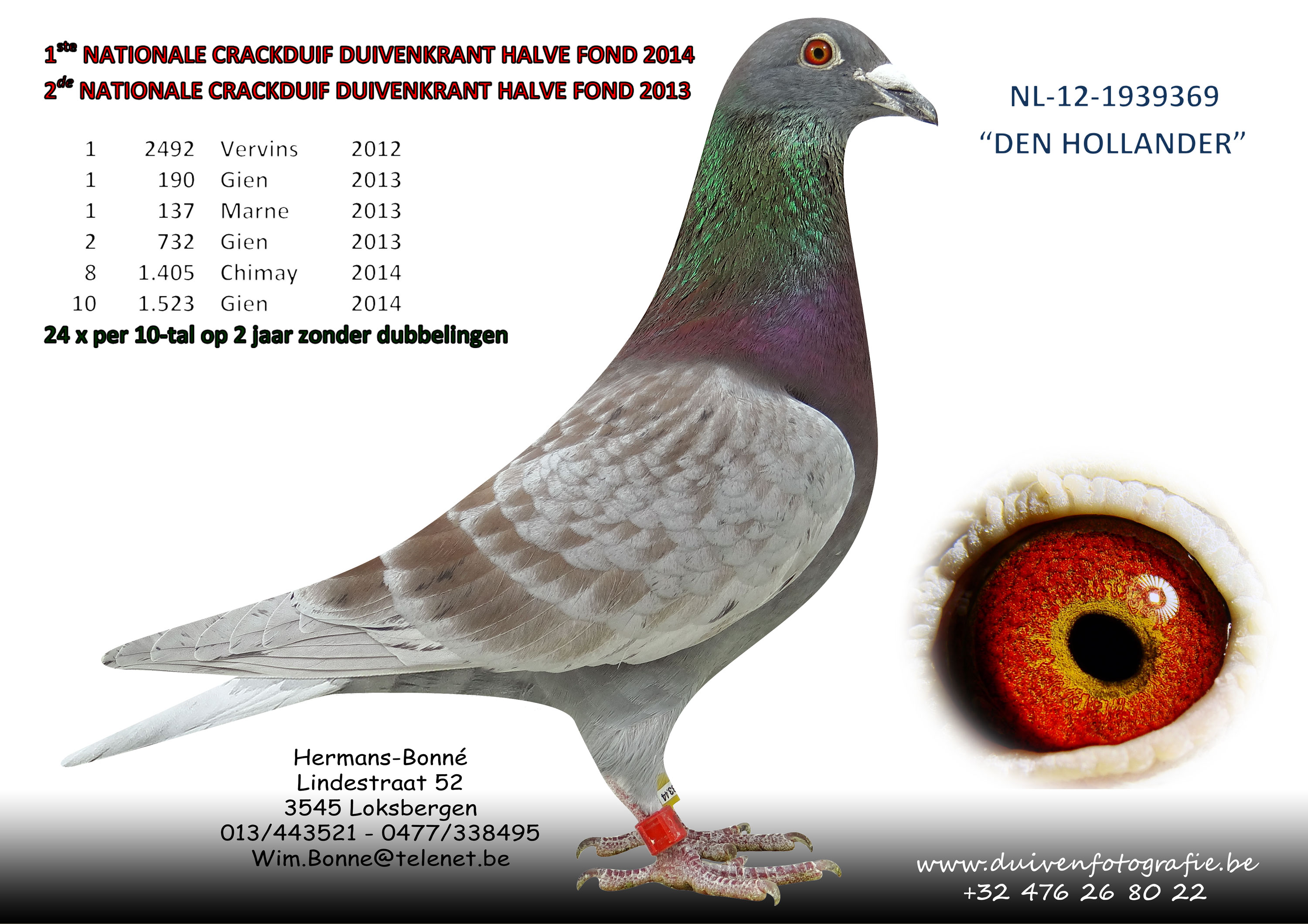 hermans bone NL-12-1939369-den-Hollander-tekst-mei-2015