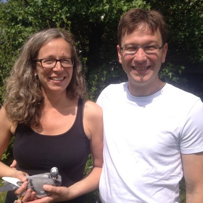 scholz 2015