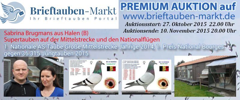 auktion 2015 brugmans mit datum
