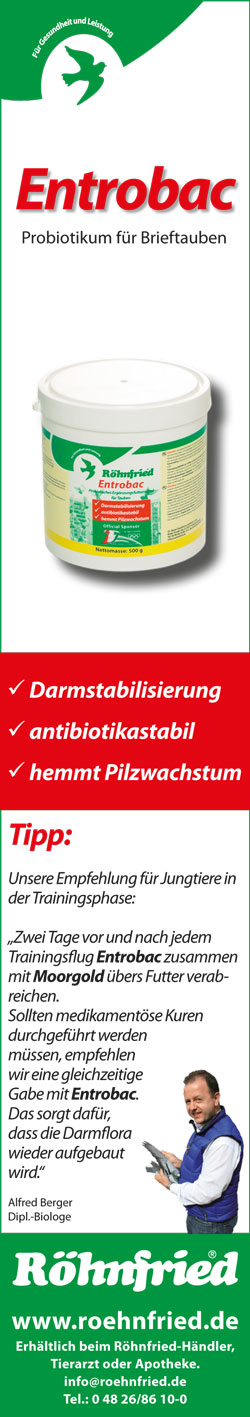 Roehnfried2 2015