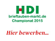 hdi bewerben