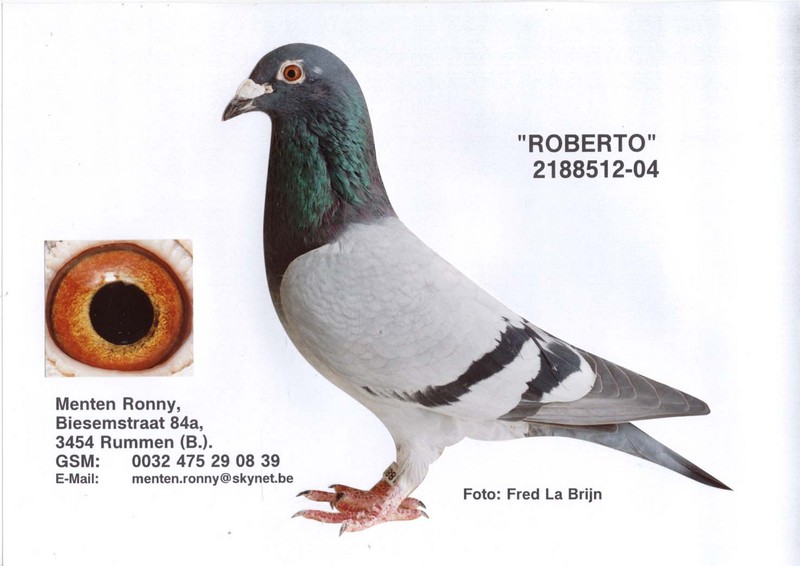 menten 04-2188512 Roberto