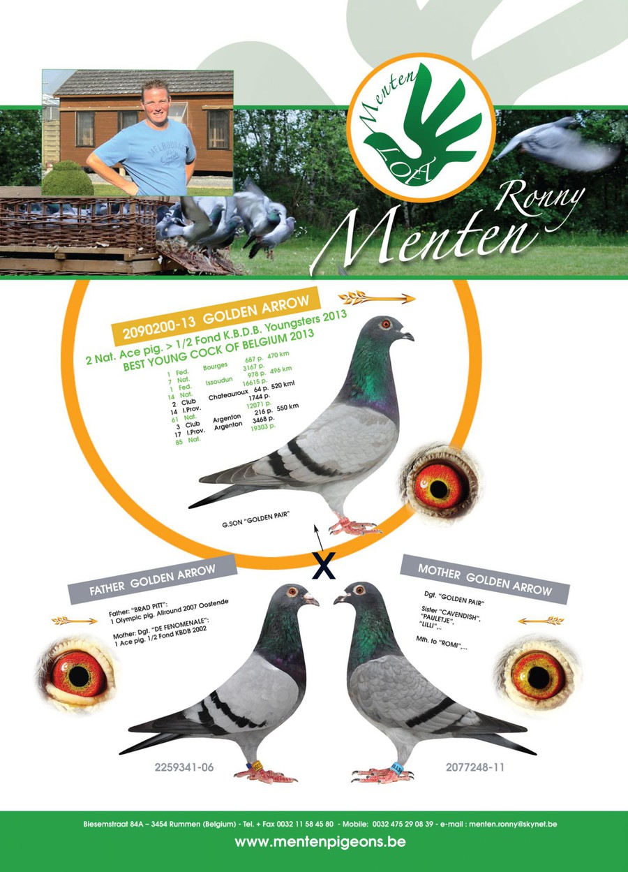menten 2.nat as 2013