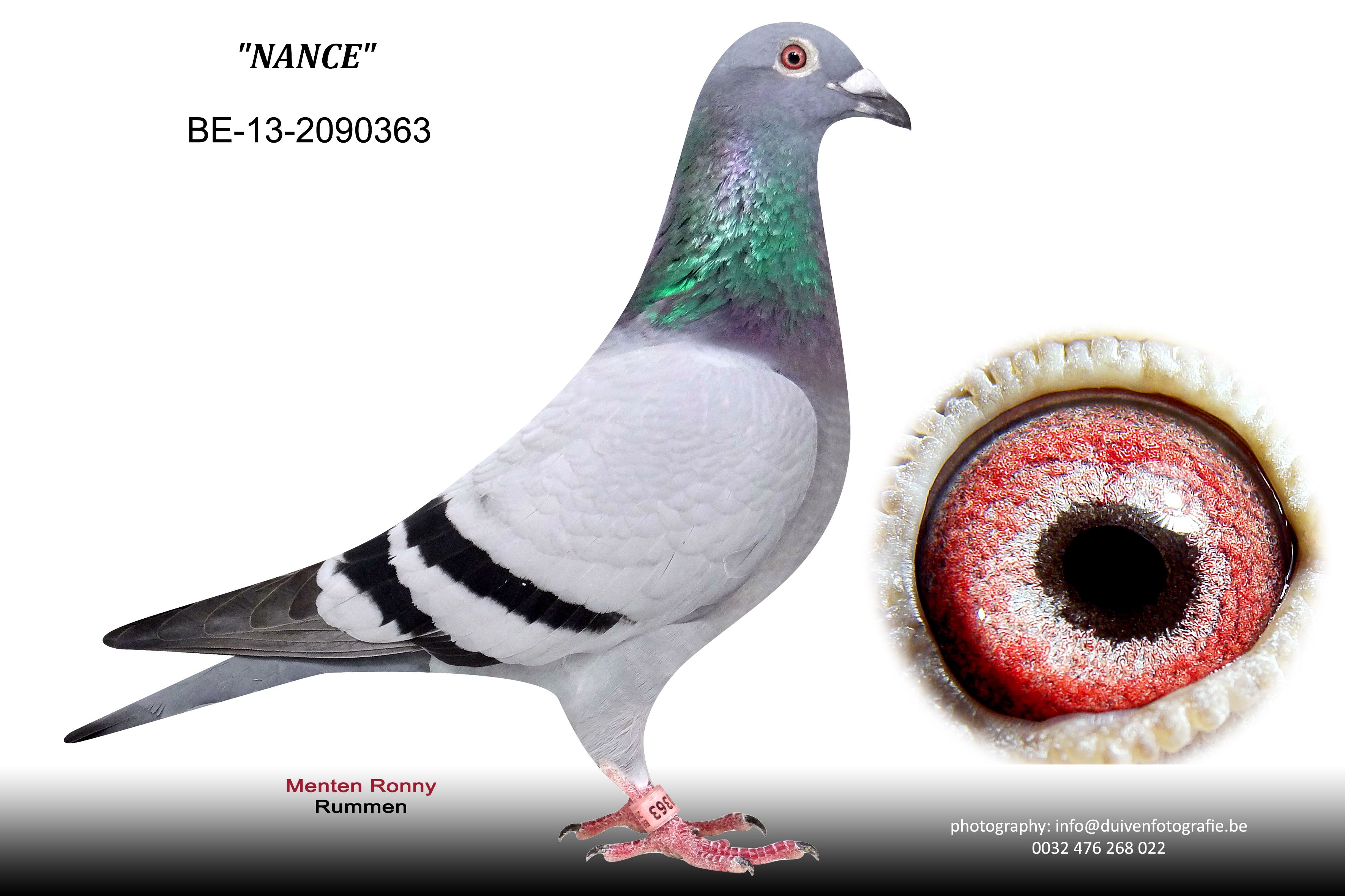menten nance BE-13-2090363
