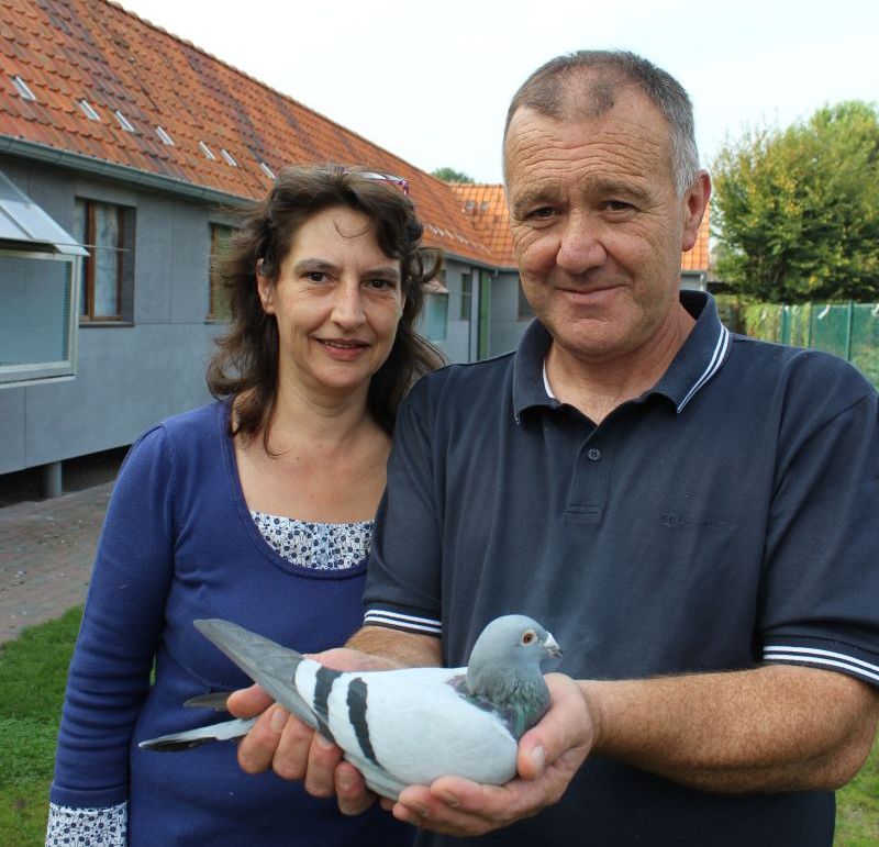 Vangeel Jo 1