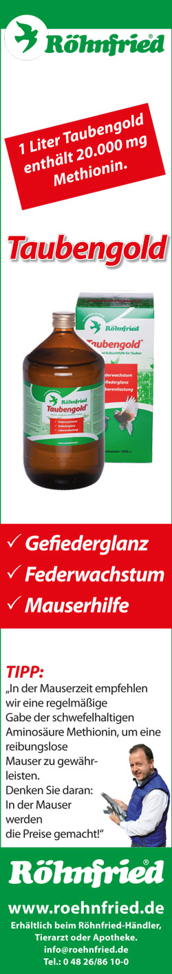 okt Roehnfried1